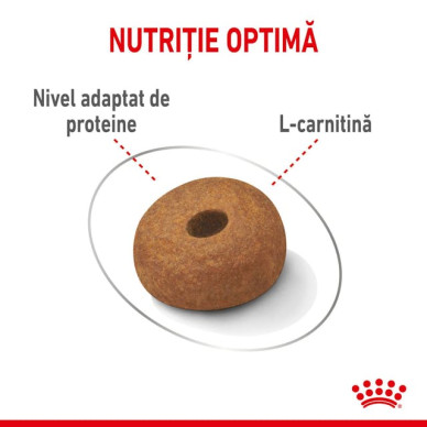 Royal Canin Maxi Light Weight Care Adult – Hrană Uscată pentru Câini de Talie Mare cu Tendință de Îngrășare – 12 kg